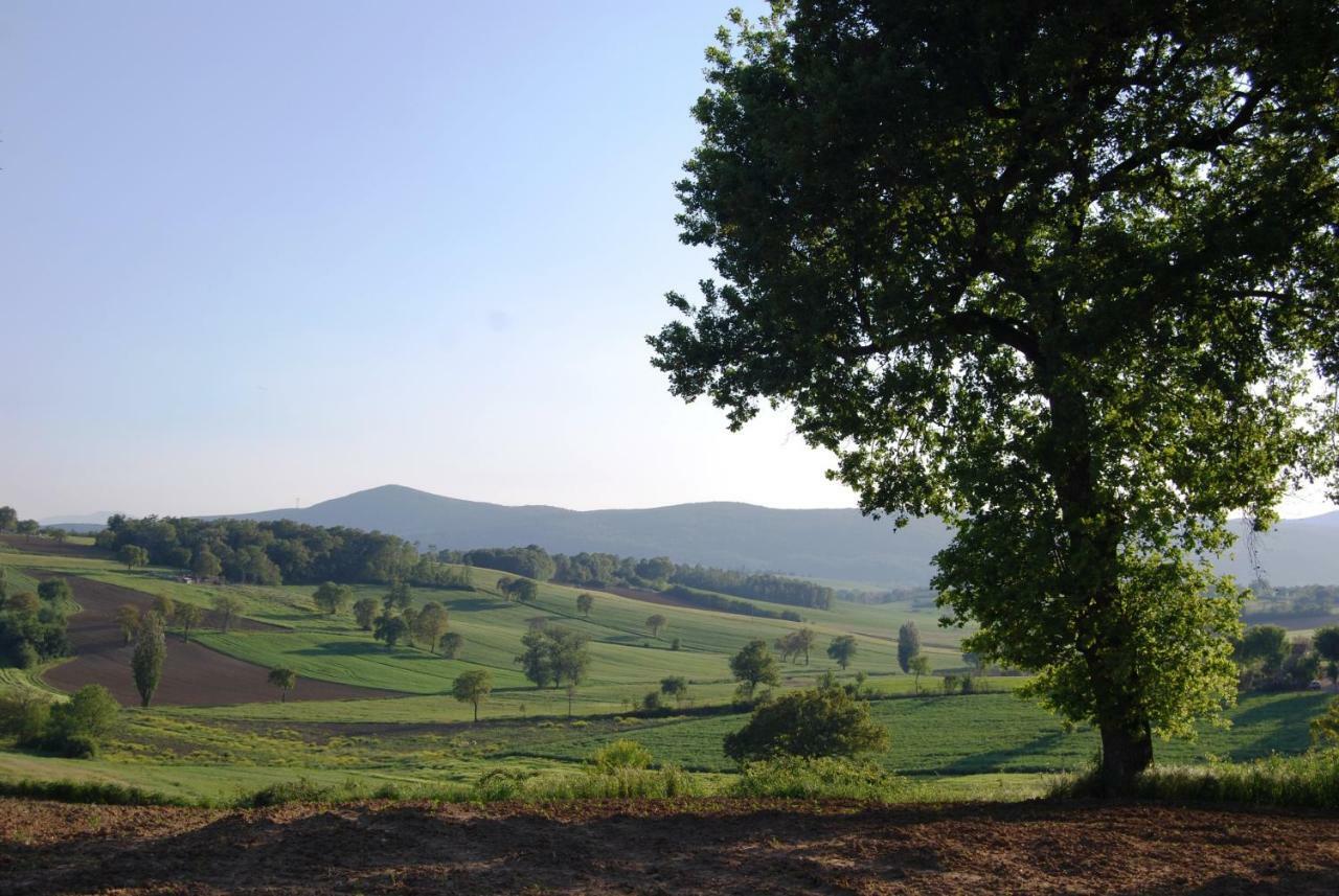 Bilocale Verde Umbria Montecastrilli Eksteriør billede