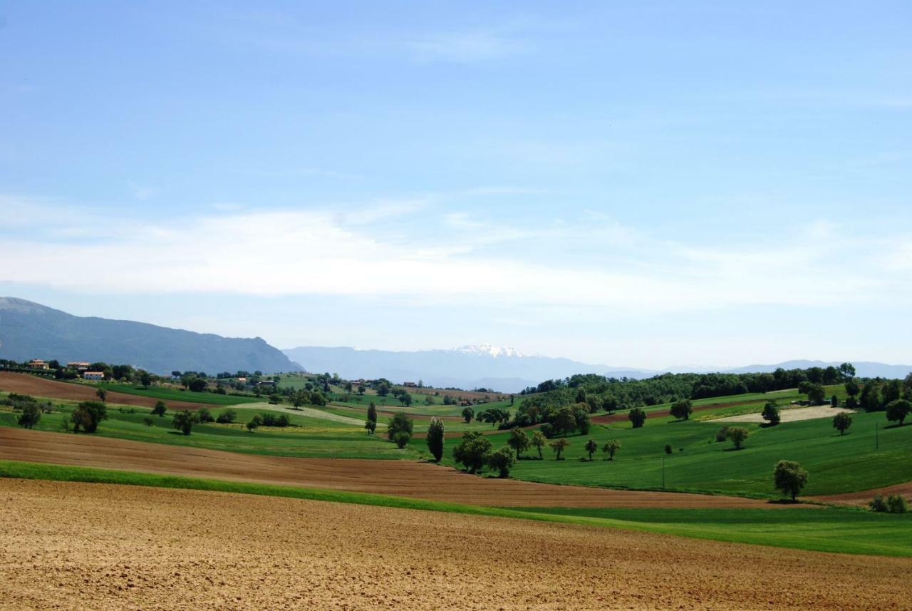 Bilocale Verde Umbria Montecastrilli Eksteriør billede