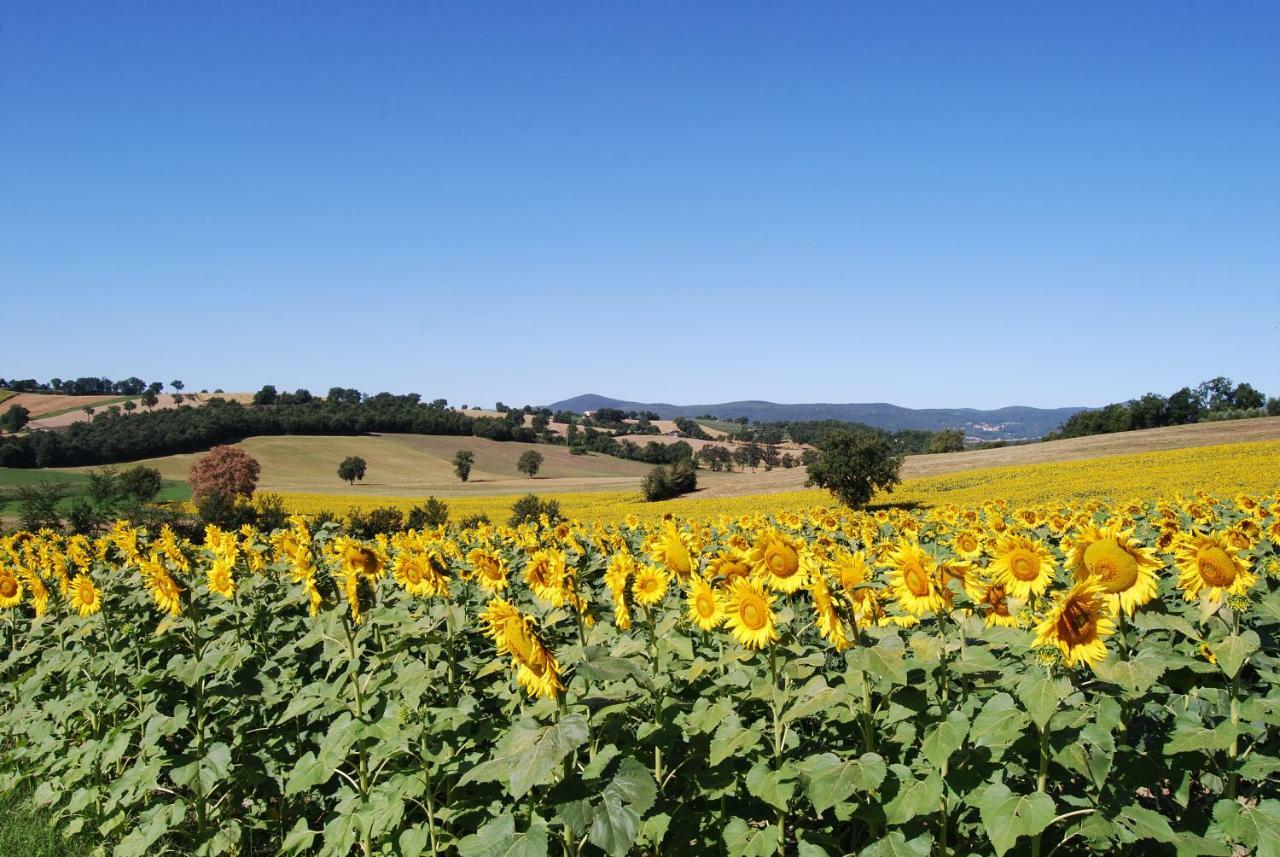 Bilocale Verde Umbria Montecastrilli Eksteriør billede